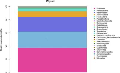 A 16S rDNA sequencing-based analysis of airway microecology in patients with an acute exacerbation of chronic obstructive pulmonary disease: A cross-sectional study in Inner Mongolia, China